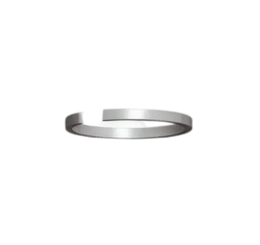 Piston Retainer Ring | VED QL 55 10